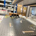 prl6